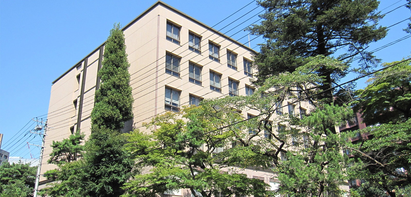 仙台家庭裁判所（C）KishujiRapid 2013 https://commons.wikimedia.org/wiki/File:Sendai_Family_Court.JPG